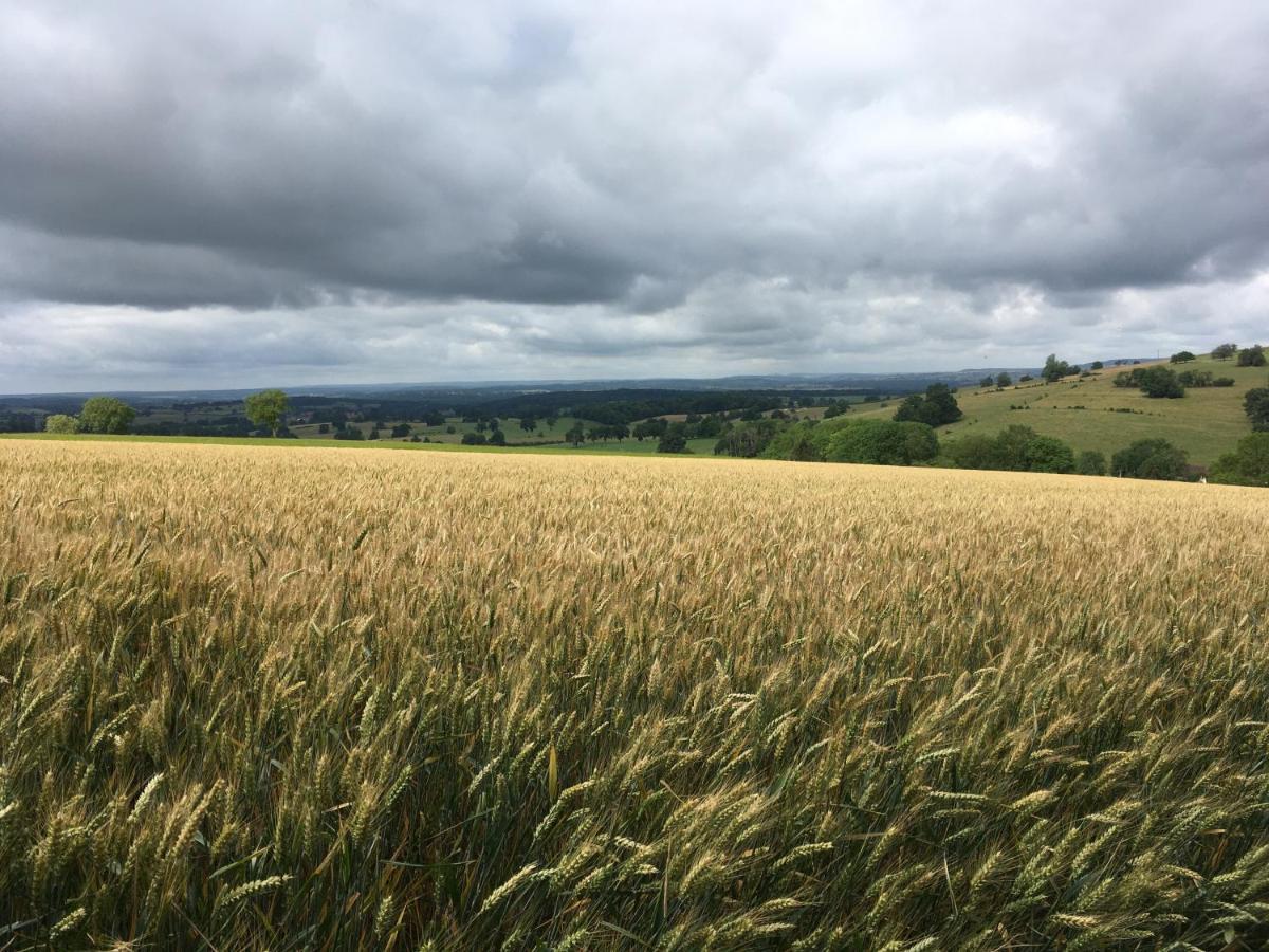 مبيت وإفطار Fontenay-près-Vézelay Au Cheval Bleu المظهر الخارجي الصورة